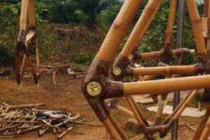 Bamboo bike frames