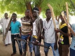 vigilante group