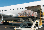 Cargo plane