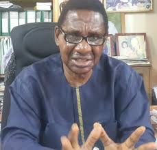 Prof Itse Sagay