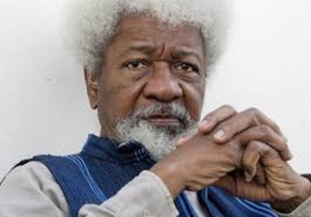Wole Soyinka is wrong and wronged 