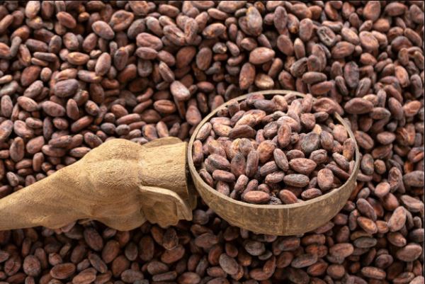 Agric export