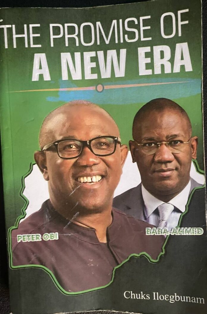 The Promise of a New Era: A Presidential Campaign 'Biography' of Peter Obi - TheNiche